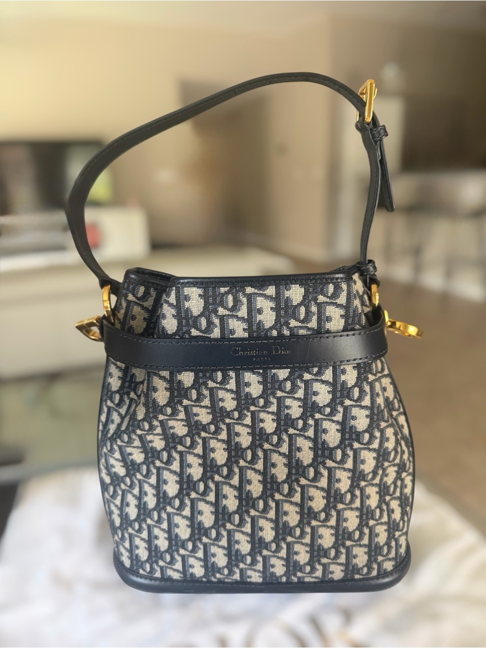 C'est Dior Bucket Bag